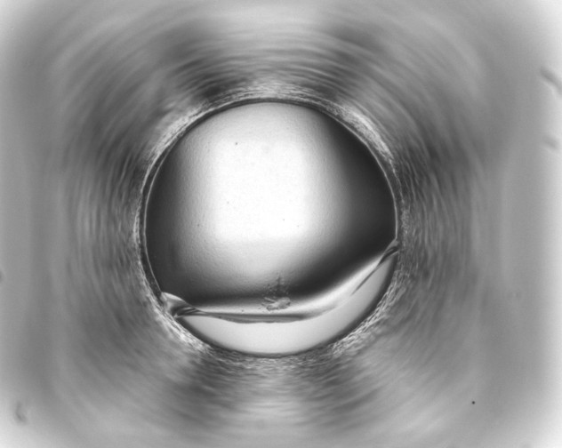 X0000093440946200711021051