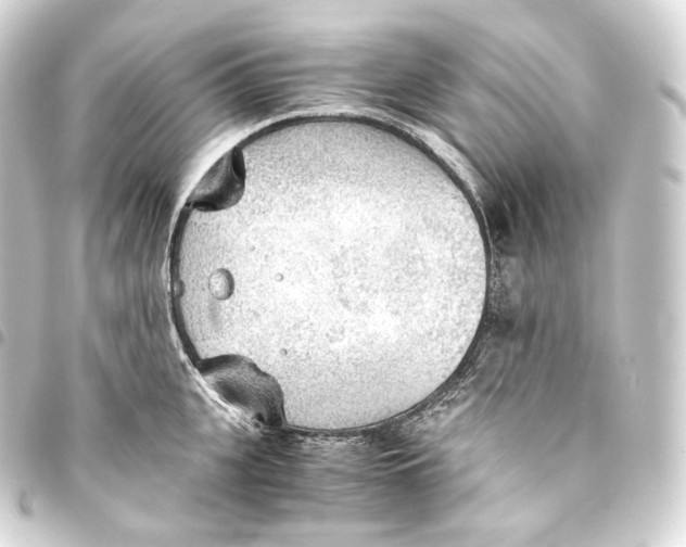 X0000093440951200711021051