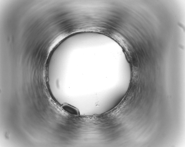 X0000093440952200711021051