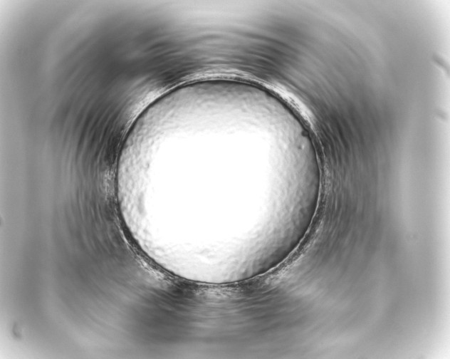 X0000093440953200711021051