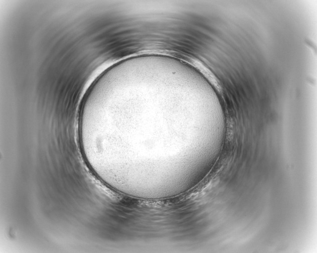 X0000093440955200711021051