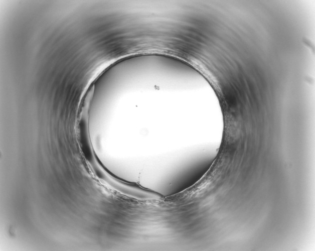 X0000093440956200711021051