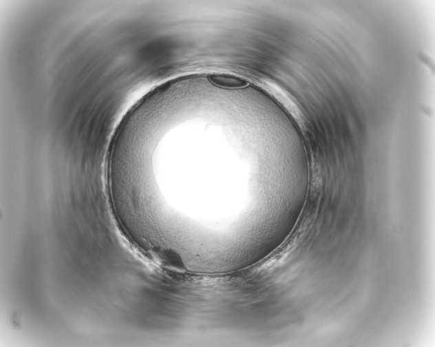 X0000093440958200711021051