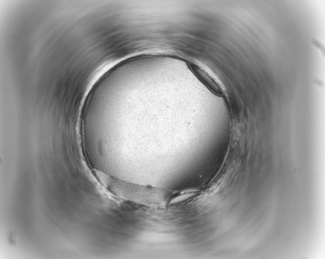 X0000093440959200711021051