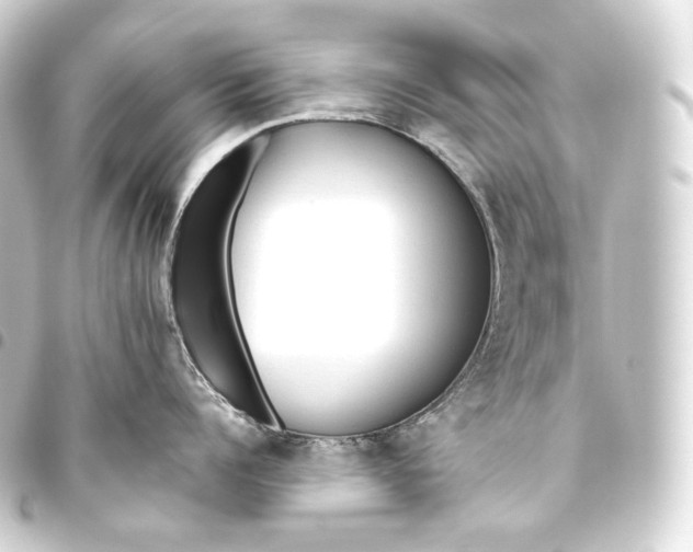 X0000093440960200711021051