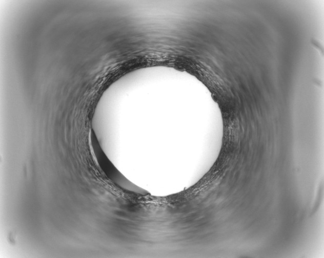 X0000093440961200711021051