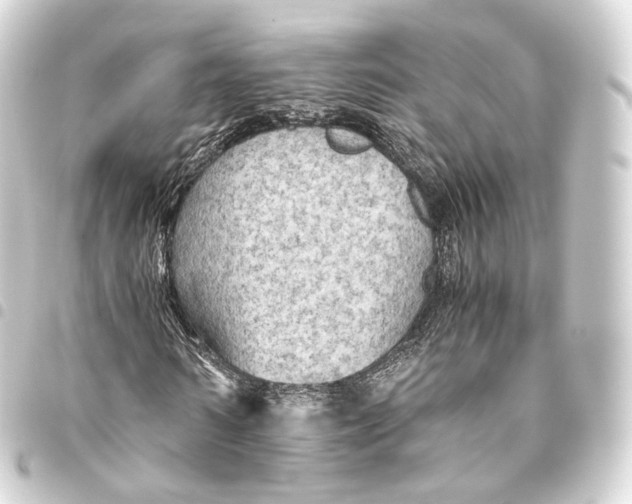 X0000093440962200711021051