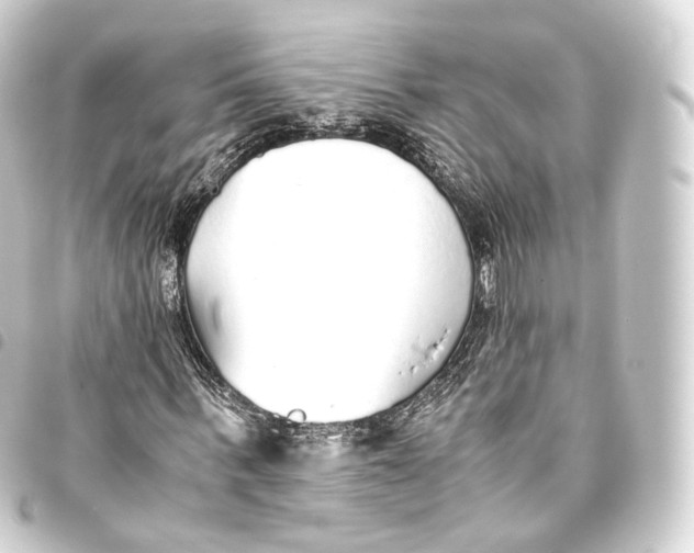 X0000093440963200711021051