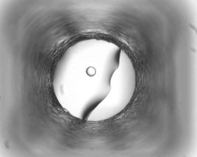 X0000093440965200711021051