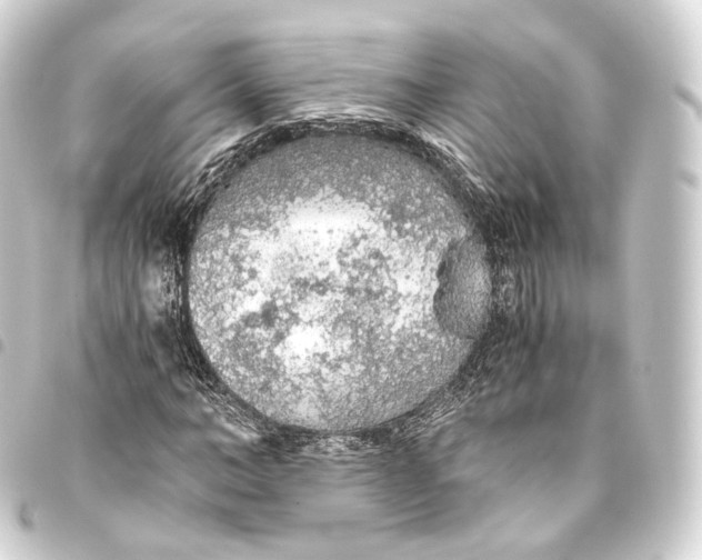 X0000093440966200711021051