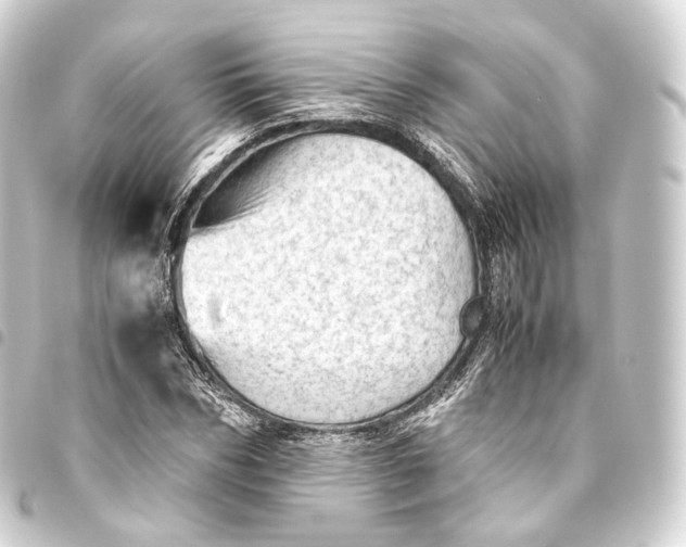 X0000093440970200711021051