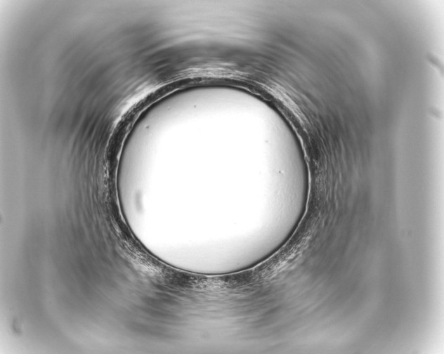 X0000093440971200711021051