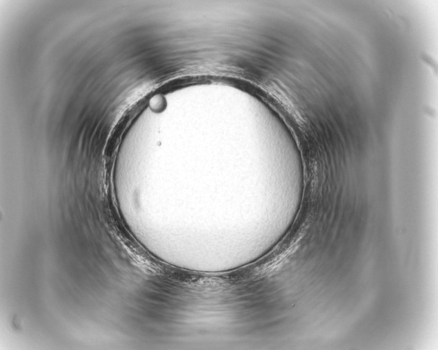 X0000093440974200711021051