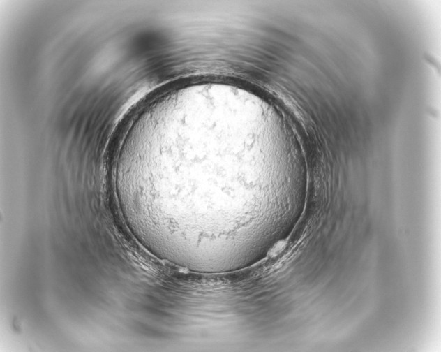 X0000093440975200711021051