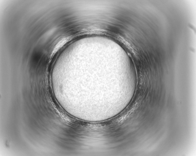 X0000093440978200711021050