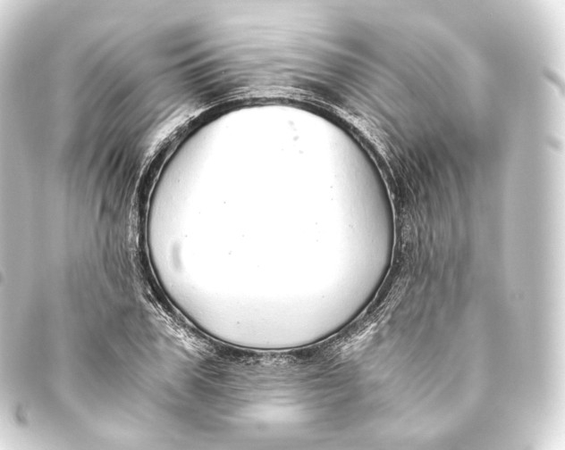 X0000093440979200711021050