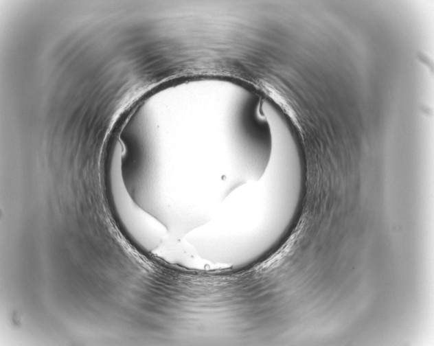 X0000093440981200711021050