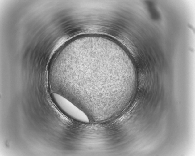 X0000093440982200711021050