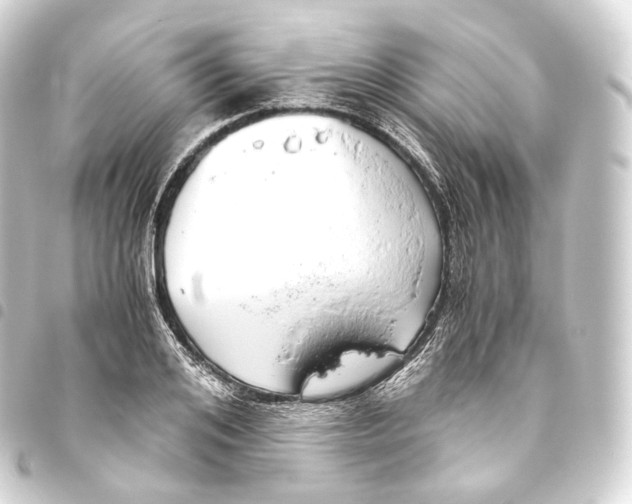 X0000093440984200711021050