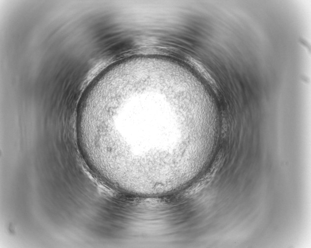 X0000093440986200711021050