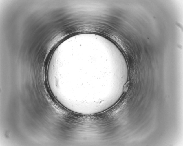 X0000093440987200711021050