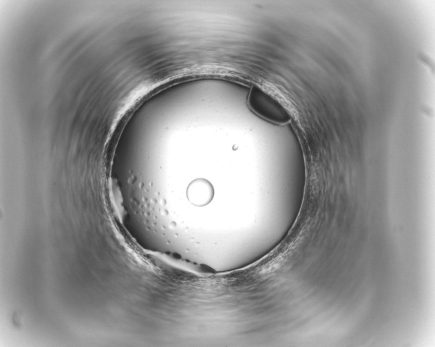 X0000093440989200711021050