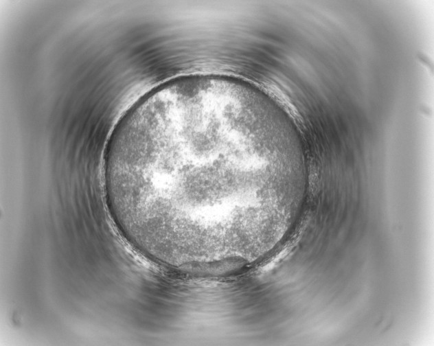 X0000093440990200711021050