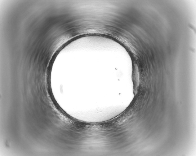 X0000093440991200711021050