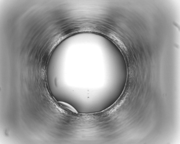 X0000093440993200711021050