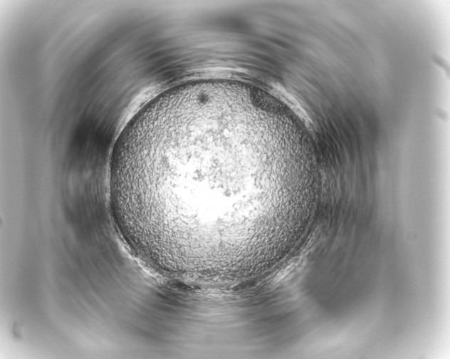 X0000093440994200711021050