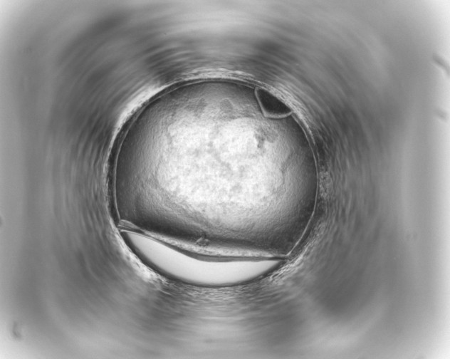 X0000093440995200711021050