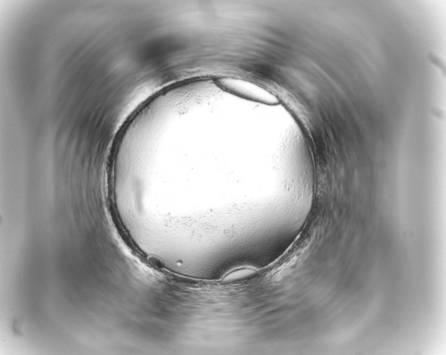 X0000093440999200711021050