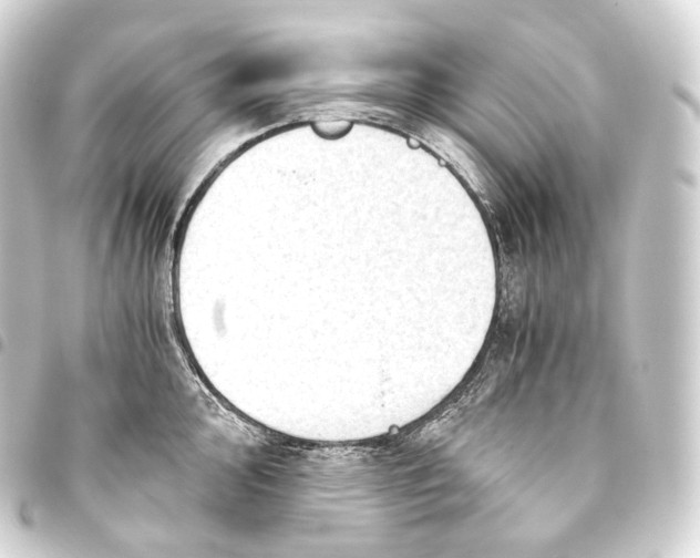 X0000093441000200711021050