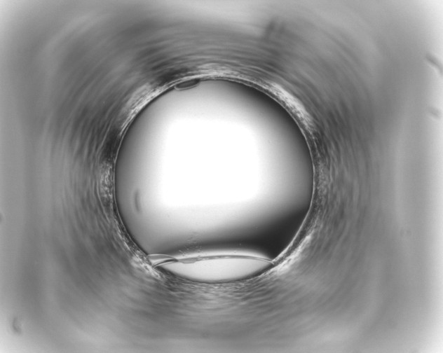 X0000093441001200711021050