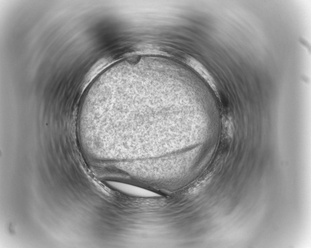 X0000093441002200711021050