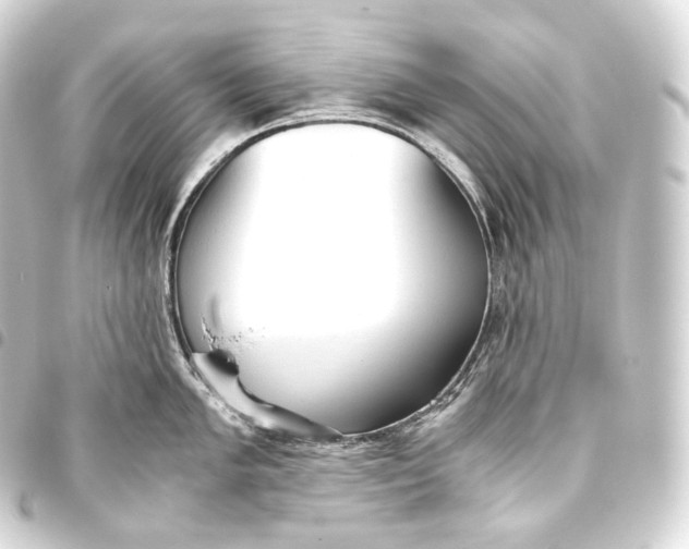 X0000093441005200711021050