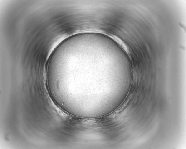 X0000093441006200711021050