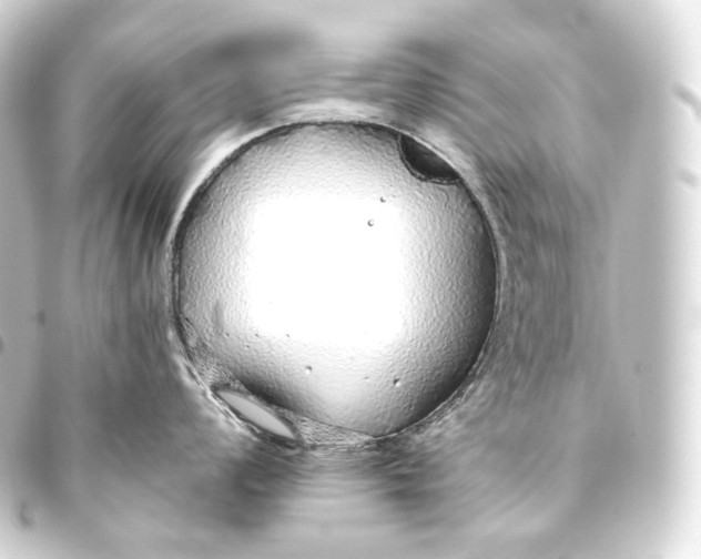 X0000093441008200711021050