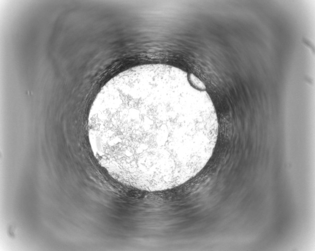 X0000093441009200711021049