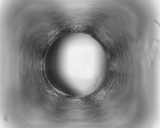 X0000093441010200711021049