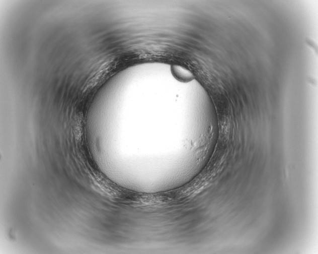 X0000093441012200711021049