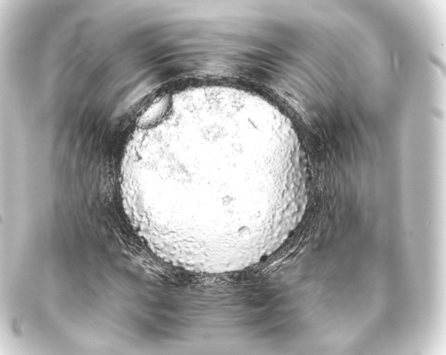 X0000093441015200711021049