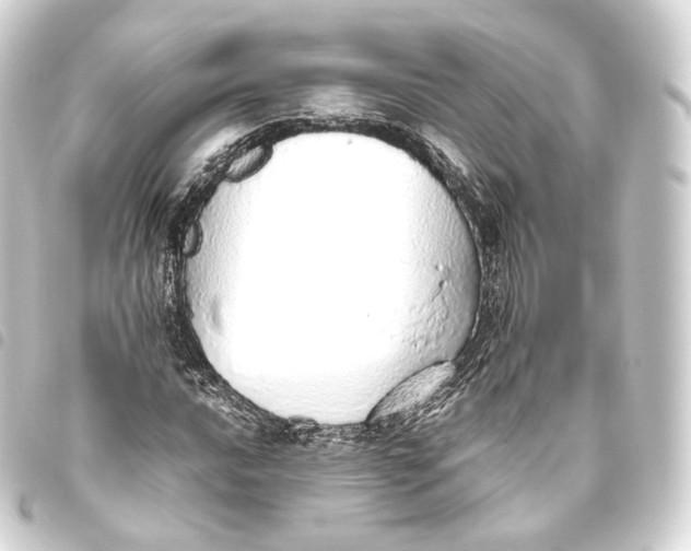 X0000093441016200711021050