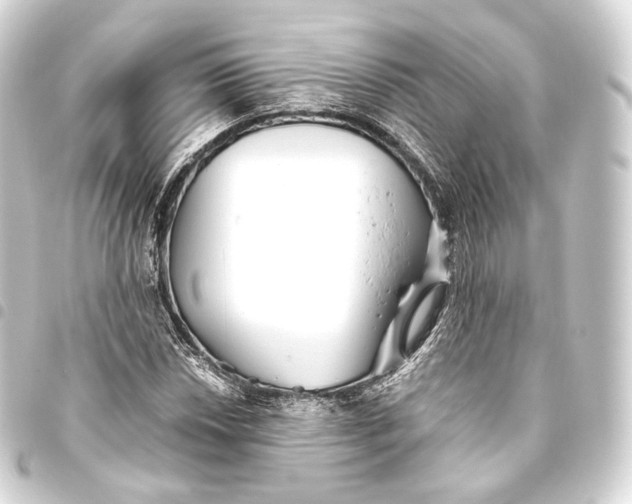 X0000093441018200711021050