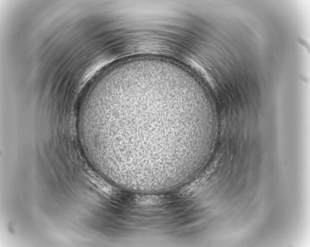 X0000093441019200711021050