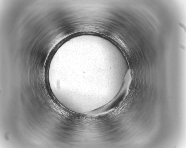 X0000093441020200711021050