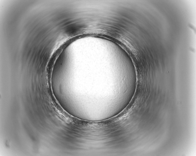 X0000093441022200711021050