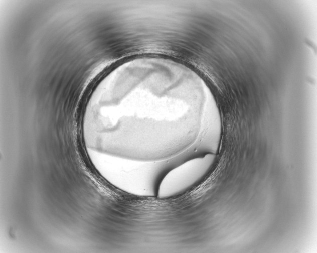 X0000093441024200711021050