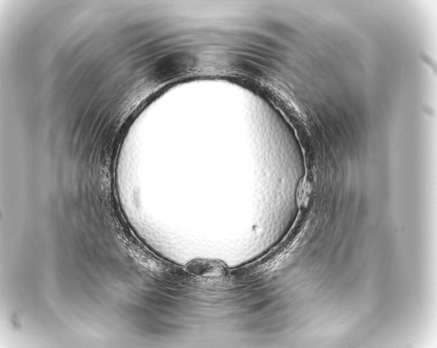 X0000093441025200711021050