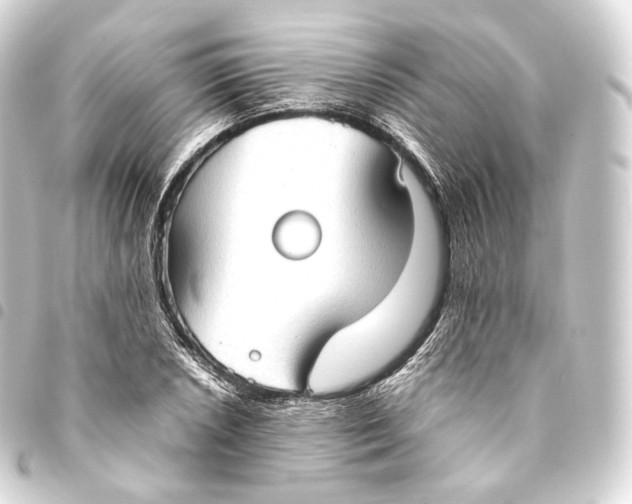 X0000093441026200711021050